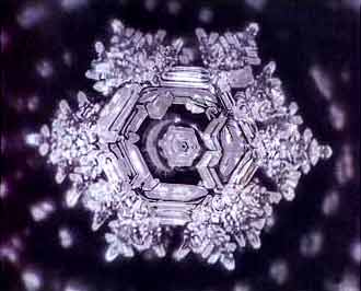 Water-Crystal-Dr.-Emoto